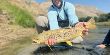 Boysen Reservoir Tailwater Guides: Your Ultimate Fishing Adventure in Wyoming